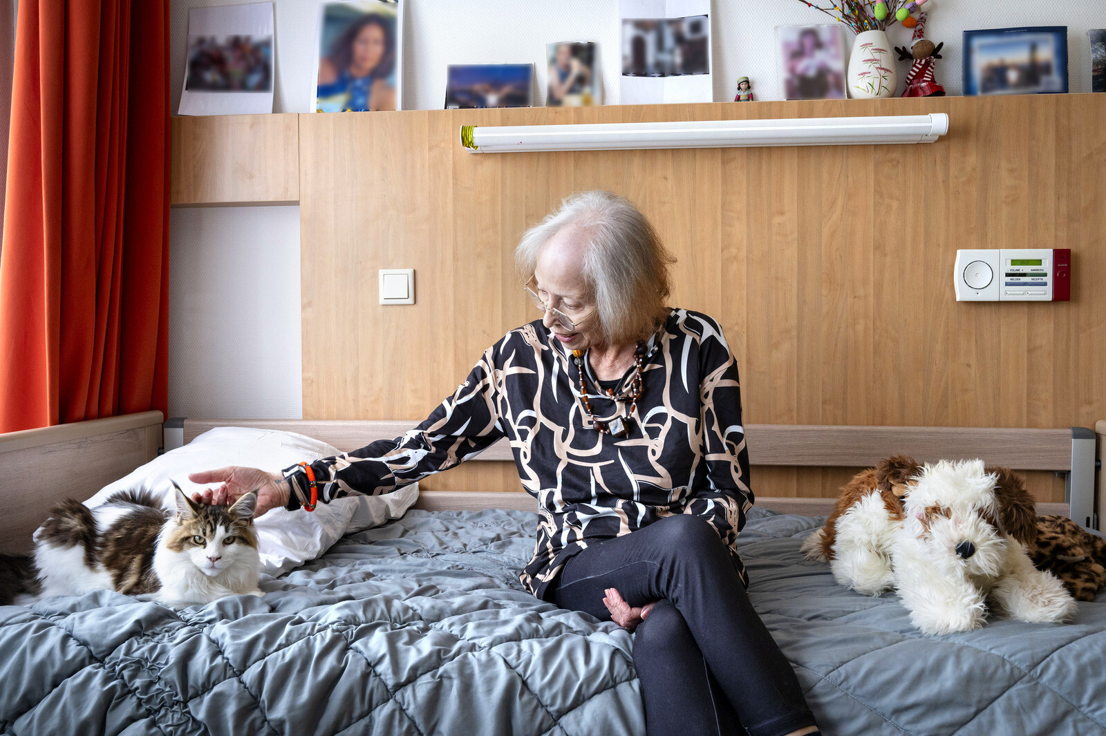 Katten Huize Eykenburg